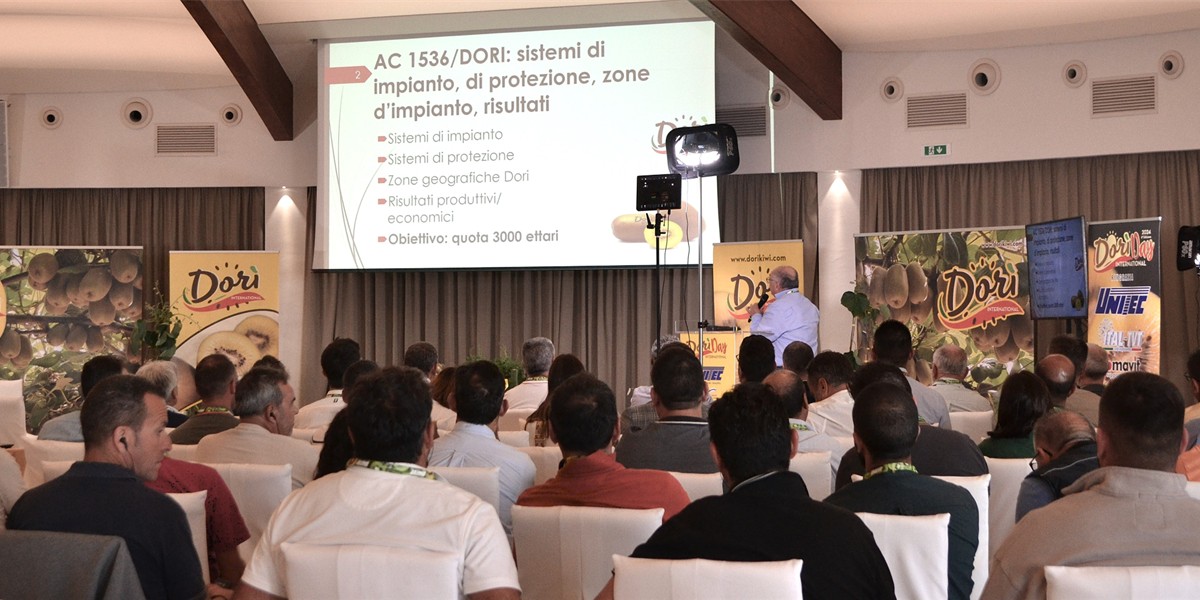 Dorì Day: un evento internazionale dedicato alla filiera del kiwi giallo